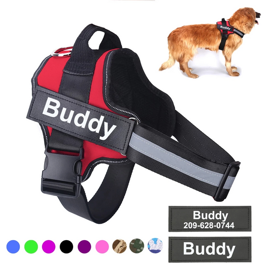 PullSafe™ Ultimate Comfort Harness